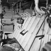 Göta Lejon batteri för gastuber