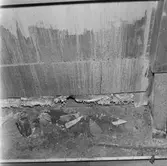 Göta Lejon fotografering av sopor i hytter