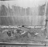 Göta Lejon fotografering av sopor i hytter