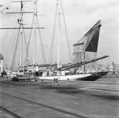 Flying clipper