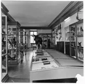 Vänersborgs museum. Nordiska djursalen.