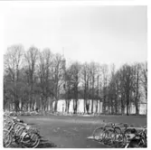 Kyrkoplantaget  Vänersborg