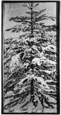Otto Hesselbom : Snötyngd gran