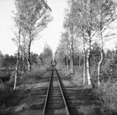 Lelångenbanan. Näst sista resan före nedläggandet, med utgång från Uddevalla. Bre mosse.