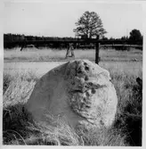 Dalskog, Upprensing och flyttning av skålgropssten.