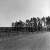 Västra Tunhem, sn Foto: Karin Rex 1974-03-24