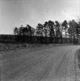 Västra Tunhem sn. Foto: Karin Rex 1974-03-24