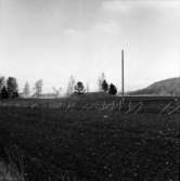 Västra Tunhem sn, Foto: Karin Rex 1974-03-24