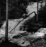 Västra Tunhem sn, Hunneberg, Byklevsfallet 1 Foto: W. Ängermark 1967, Vänersborgs Museum