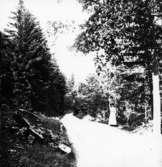 Västra Tunhem sn, Halleberg, Munkebos gästgivaregård juni 1911 nr 5673