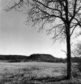 Västra Tunhem sn, Fornborgen, Halleberg.