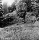 Västra Tunhem sn, Halleberg, Fornborgen neg A: 257 a Foto: Ch. Aarsrud Vänersborgs Museum