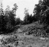 Västra Tunhem sn, Halleberg, Fornborgen neg A: 257 bFoto: Ch. Aarsrud Vänersborgs Museum