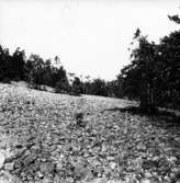 Västra Tunhem sn, Halleberg, Västra Tunhem eller Vänersnäs