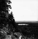 nr 5557, Halleberg, Västra Tunhem sn 23/6 1924