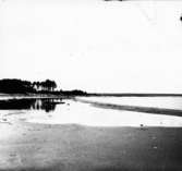 Västra Tunhem, Halleberg, Nordkroken utblik från stranden 1906