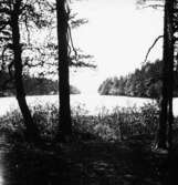 Västra Tunhem sn, Hallsjön, fr Skytteklevshållet, Halleberg 28/6 1924.