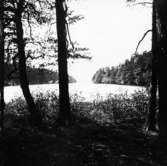 Västra Tunhem sn, Hallsjön, fr Skytteklevshållet, Halleberg 28/6 1924.