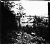 Västra Tunhem sn, Halleberg, utblick från vägen upp till skytteklev 19/6 1904