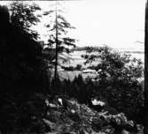 Västra Tunhem sn, Halleberg, utblick från vägen upp till skytteklev 19/6 1904