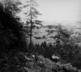 Västra Tunhem, Halleberg, skytteklev 19/6 1904 Emil och Anna. Neg 5647