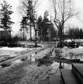 Västra Tunhem sn, området för odens dam före schaktningen. Här bildades gärna vattenpölar ännu i sen tid. (Obs platbåten). I bakgrunden  domarringen Hästevadets stenar. Foto: U.E.H -65.