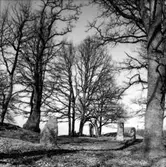 Västra Tunhem sn. Fot: Karin Rex 24/3 1974