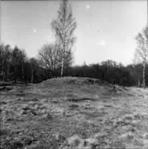 Västra Tunhem sn. Fot: Karin Rex 24/3 1974