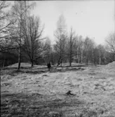 Västra Tunhem sn. Fot: Karin Rex 24/3 1974