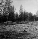 Västra Tunhem sn. Fot: Karin Rex 24/3 1974