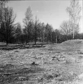 Västra Tunhem sn. Fot: Karin Rex 24/3 1974