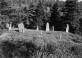 Västra Tunhem sn, Domarringen fr SO. Foto: N.I. Svensson, Vänersborgs Museum 1948.