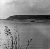 Västra Tunhem sn. Göta Älv. Foto: Erik  Björnänger, Vänersborgs Museum