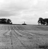 Västra Tunhem sn Foto W. Ängermark, Vänersborgs Museum