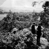 Västra Tunhem sn , Tunhems prästgård fr Hunneberg, P. Hagström 1950. Foto: Vänersborgs Museum