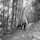 Västra Tunhem sn, Hunneberg, Den gamla kyrkstigen.  Foto: W. Ängermark 1967, Vänerssborgs Musum