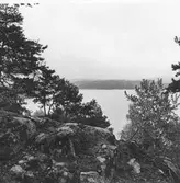 Håbol, Utsikt från Vägne.