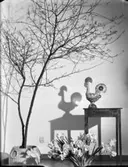 Tupp, påskliljor och ris