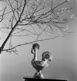 Tupp, påskliljor och ris