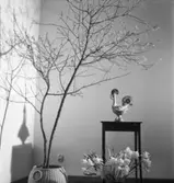 Tupp, påskliljor och ris