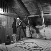 I samband med renovering av vind och besprutning av trävirke angripet av insekter