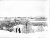 Vänersborg sett från Dalbobergen, ca 1900.