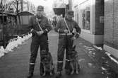 Poliser med hundar i Mölndals köpcentrum, år 1985. 