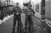 Poliser med hundar i Mölndals köpcentrum, år 1985. 