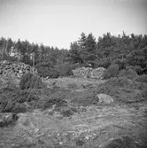 Stenkyrka socken. Olsnäs 1:23. Röse.
