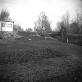 Brastad socken. Holländaröd. Skälmestenarna.