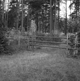 Skee socken. Lilla Åseröd. Grindsten och grind.