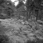 Hogdals socken. Sundby 2:2. Ovalformad vall med resta stenar.