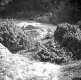 Klövedal socken. Kyrkefjäll.