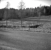 Tanum socken. Vitlycke, hällristning. Panoramabild.